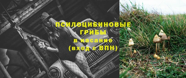 ешки Волосово