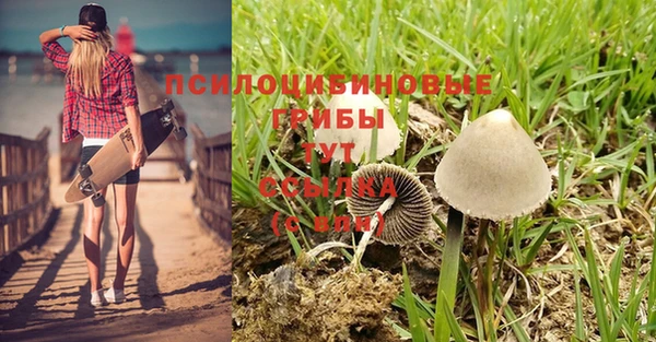 меф Володарск