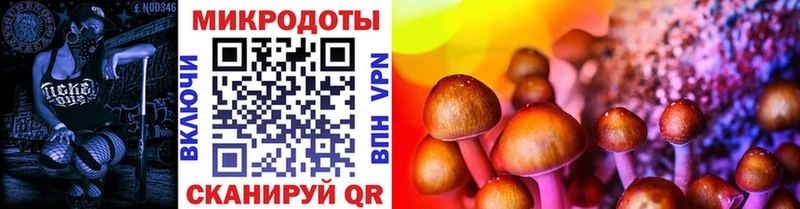 Псилоцибиновые грибы прущие грибы  Купить закладки  Бутурлиновка 